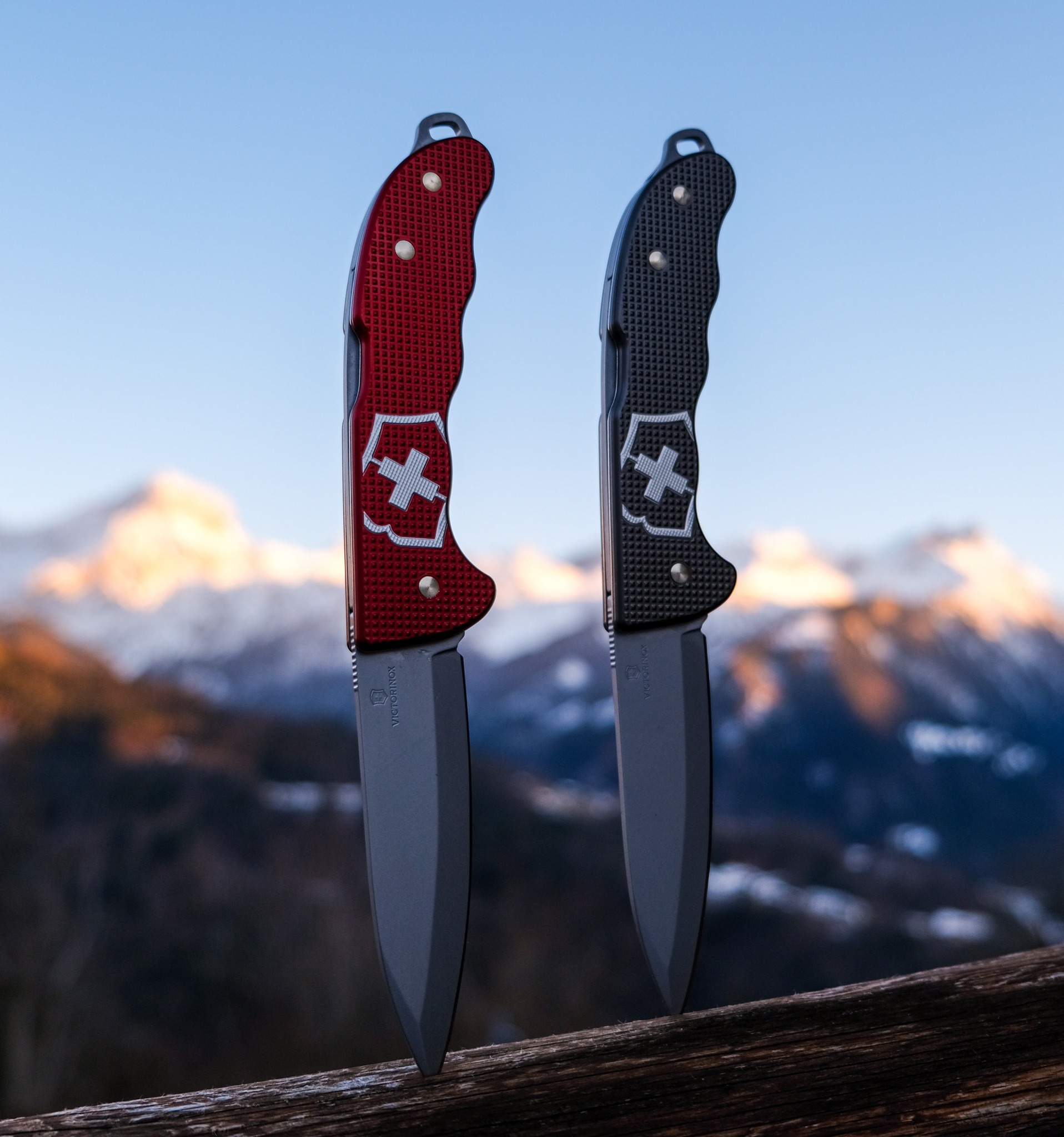 Victorinox distributor 2024